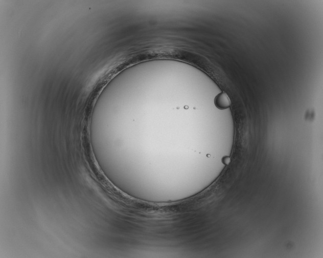 X0000110770735200906150953
