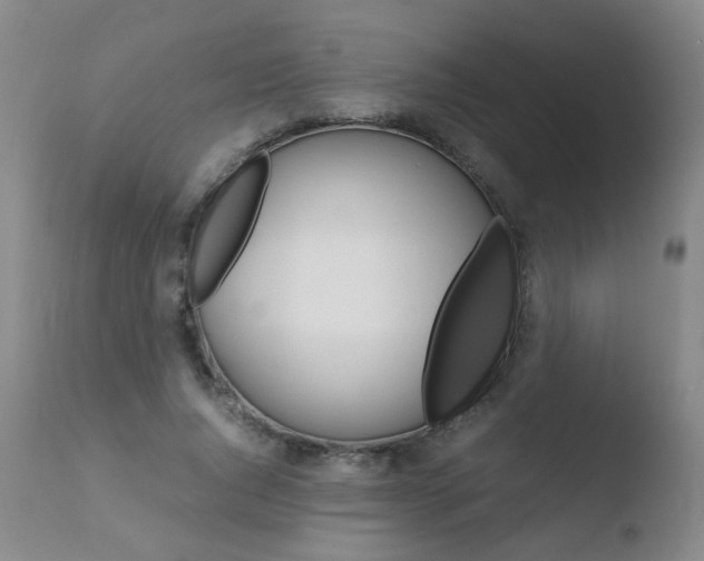 X0000110770736200906150953