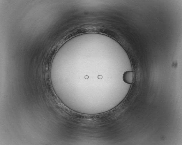 X0000110770737200906150953