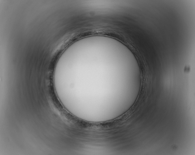 X0000110770738200906150953