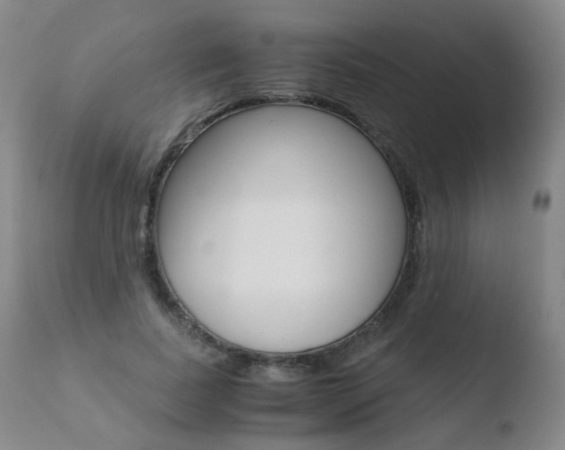 X0000110770739200906150953
