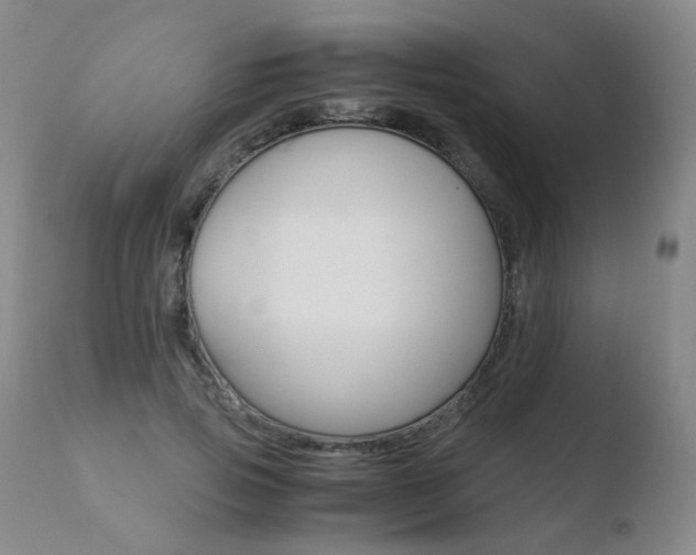 X0000110770741200906150953