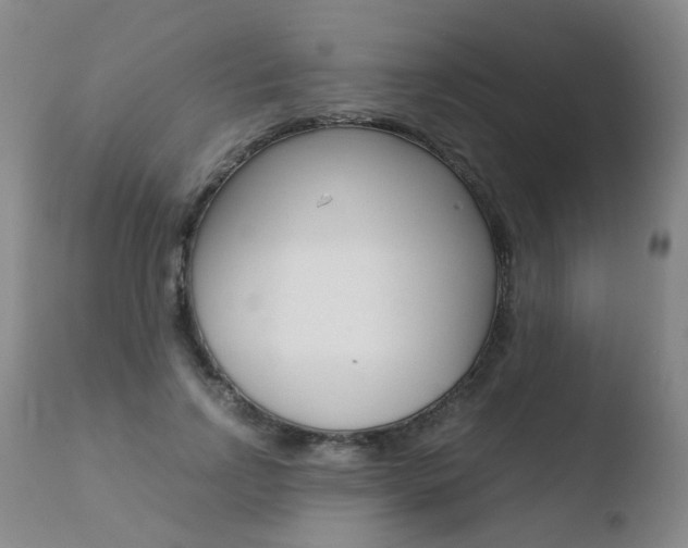 X0000110770742200906150953