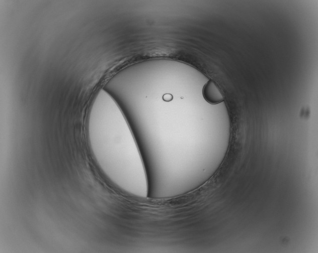 X0000110770743200906150953