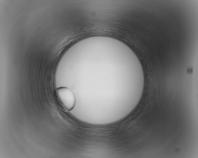X0000110770744200906150953