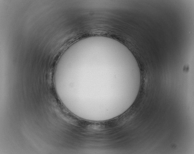 X0000110770745200906150953