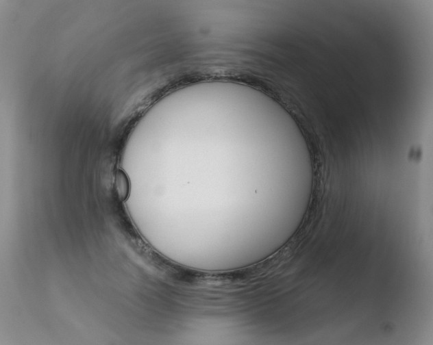 X0000110770746200906150953