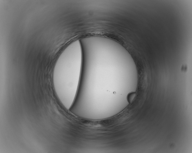 X0000110770747200906150953