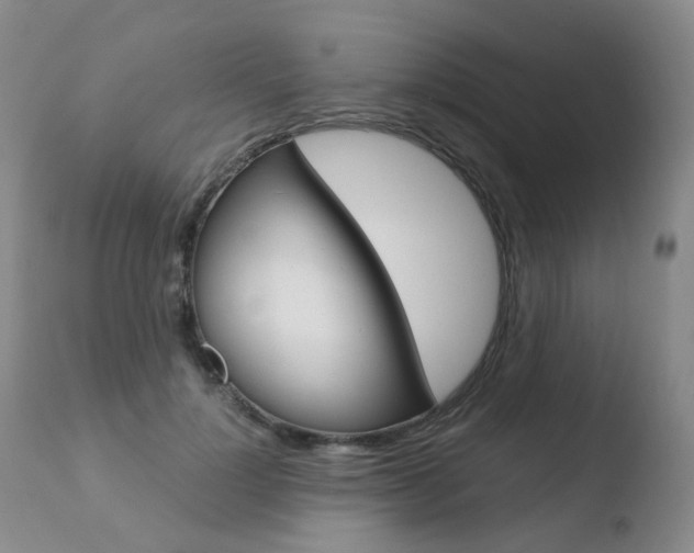 X0000110770748200906150953