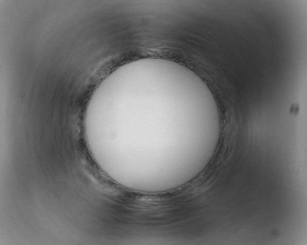X0000110770749200906150953
