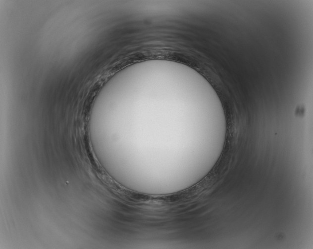 X0000110770751200906150953