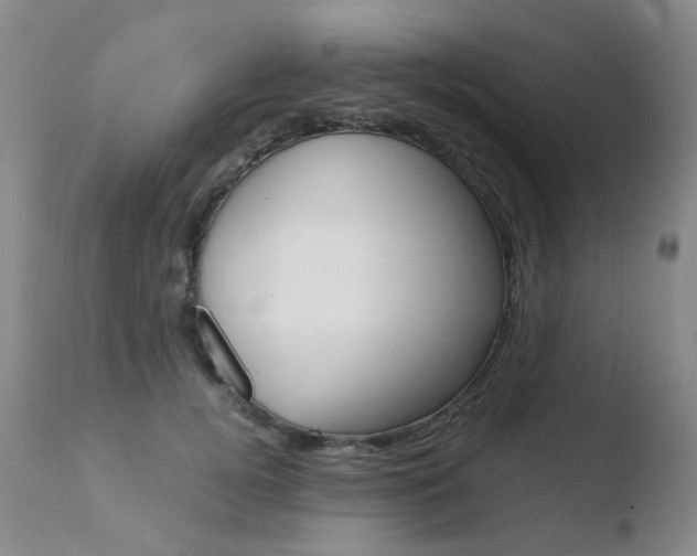 X0000110770752200906150953