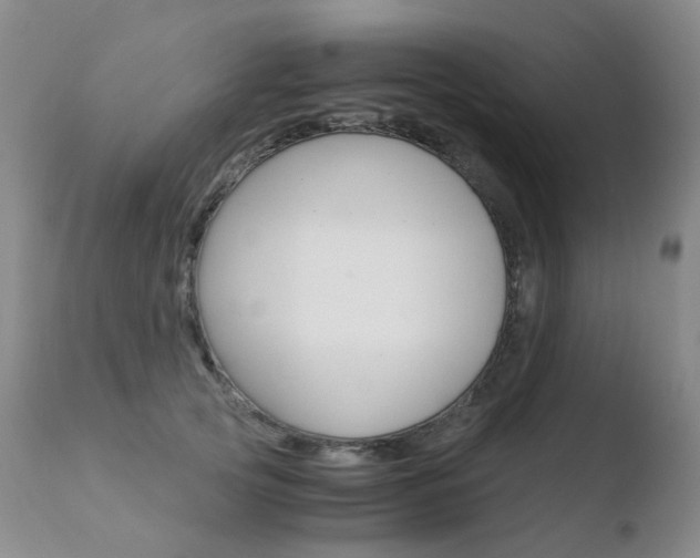 X0000110770753200906150953