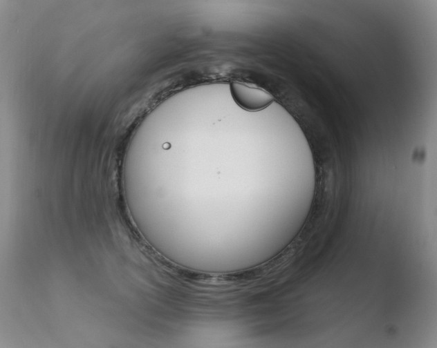 X0000110770754200906150953
