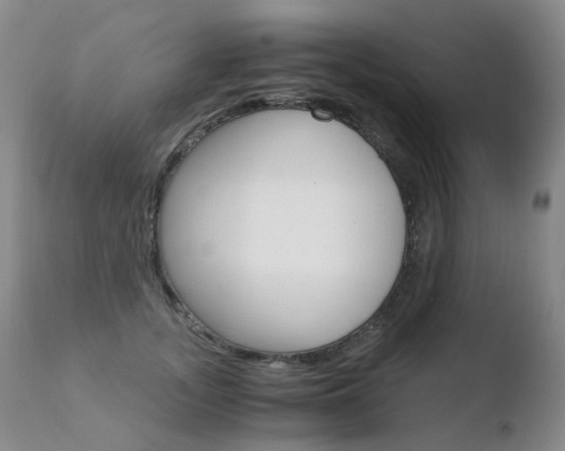 X0000110770755200906150953