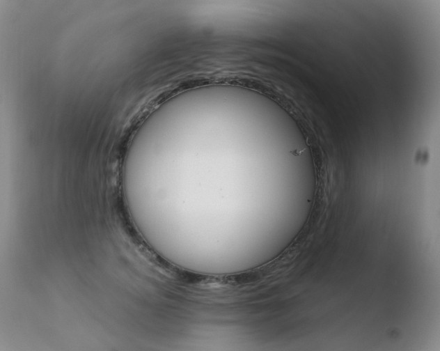 X0000110770756200906150953