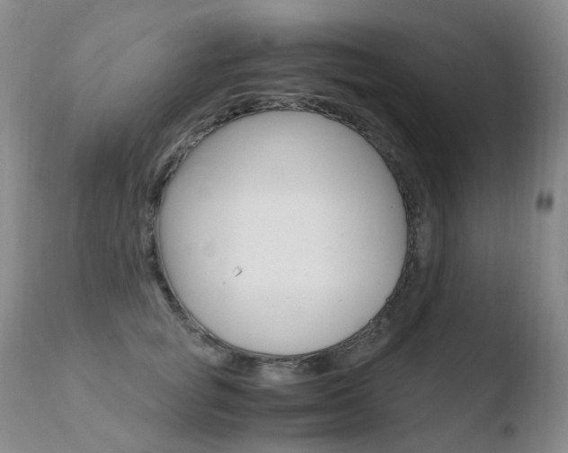 X0000110770757200906150953