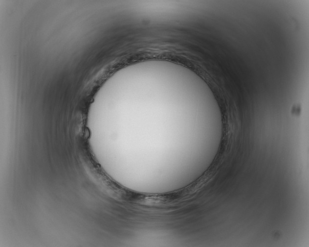 X0000110770758200906150953