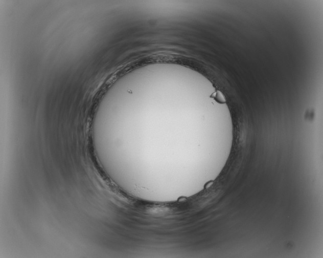 X0000110770759200906150953