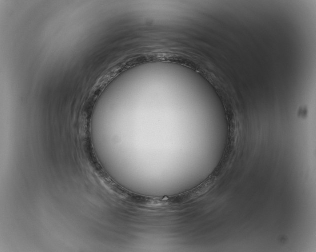 X0000110770760200906150953