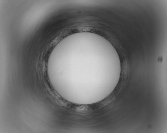X0000110770761200906150953