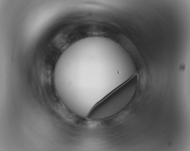 X0000110770762200906150953