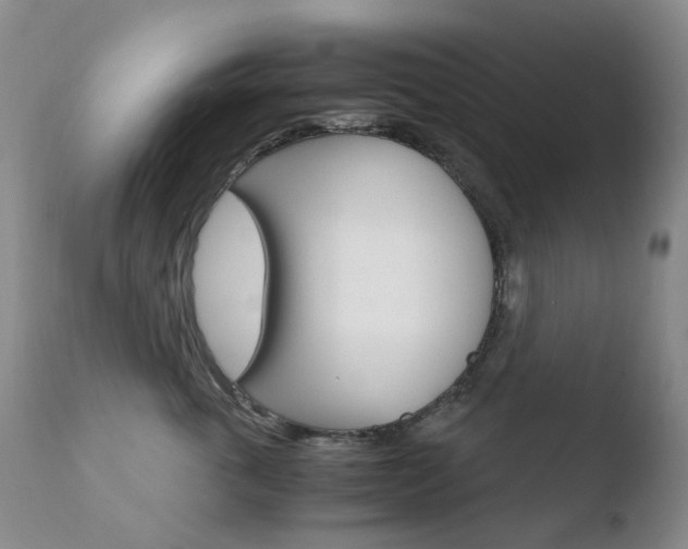 X0000110770763200906150953