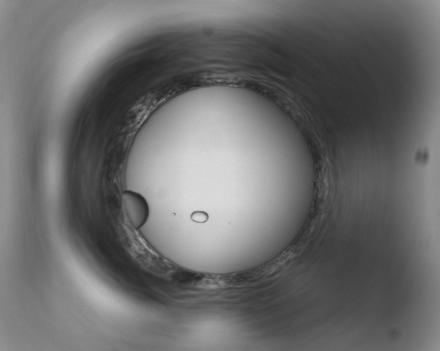 X0000110770764200906150953