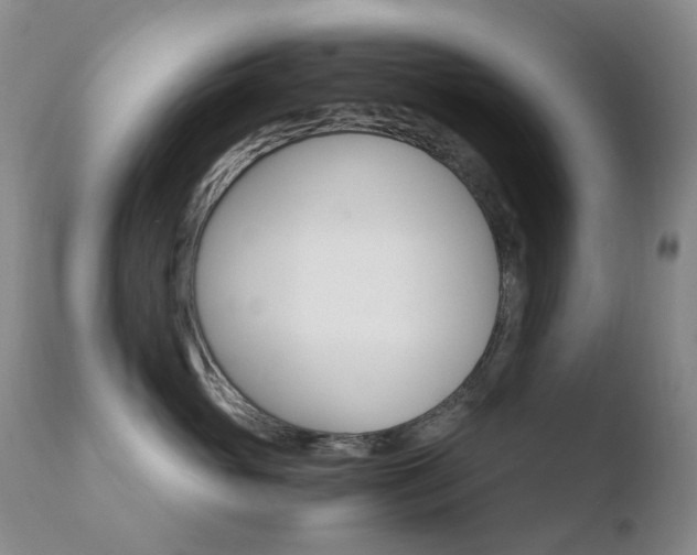 X0000110770765200906150953