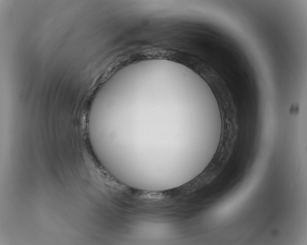 X0000110770767200906150953