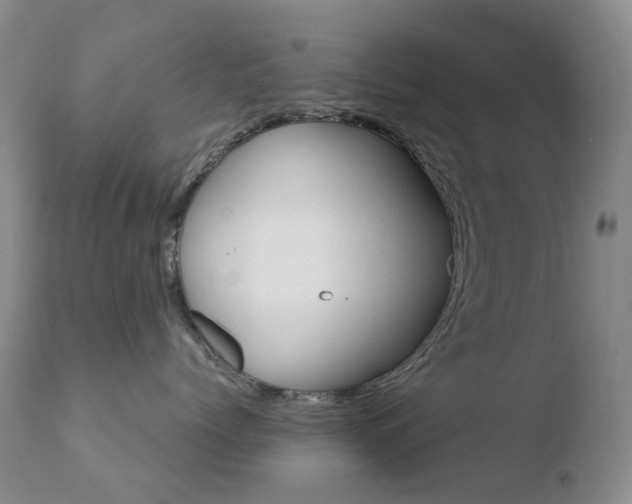 X0000110770768200906150953