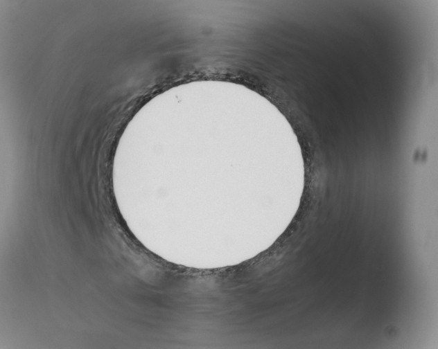 X0000110770769200906150953