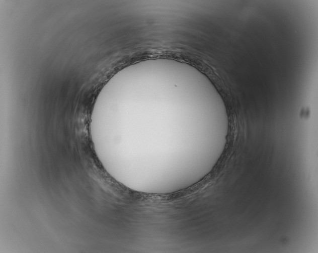 X0000110770770200906150953