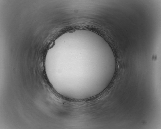 X0000110770771200906150953