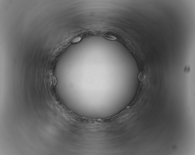 X0000110770772200906150953