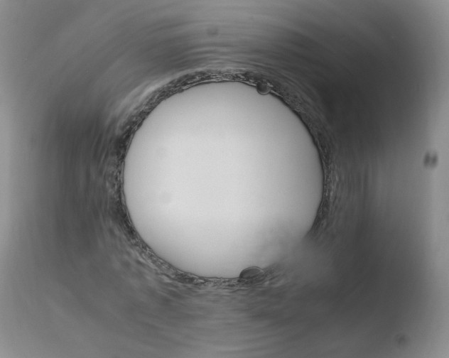 X0000110770773200906150953