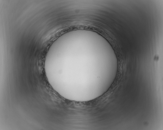 X0000110770774200906150953
