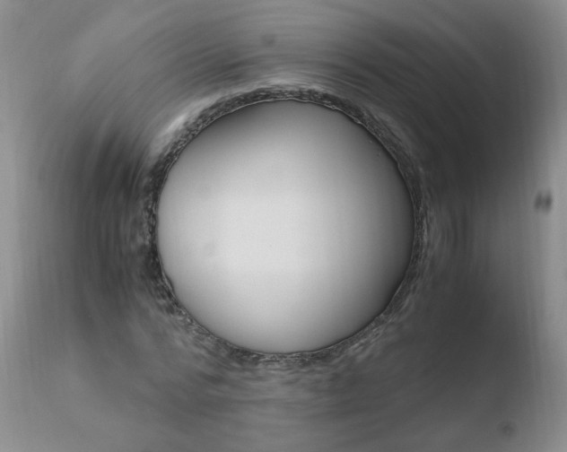 X0000110770776200906150953