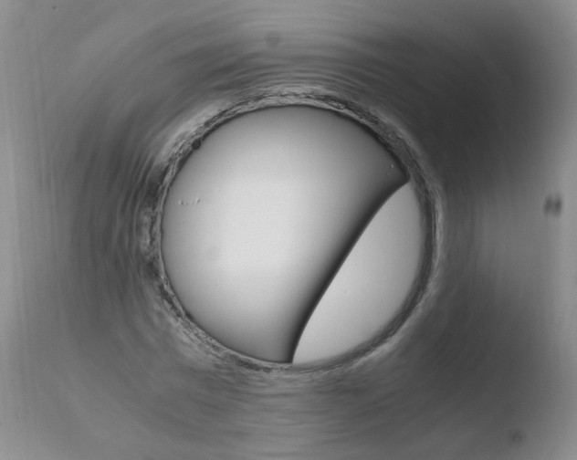 X0000110770777200906150952