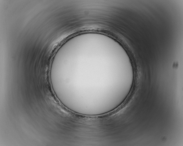 X0000110770778200906150952