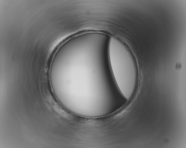 X0000110770779200906150952