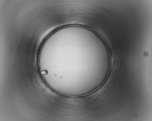 X0000110770780200906150952