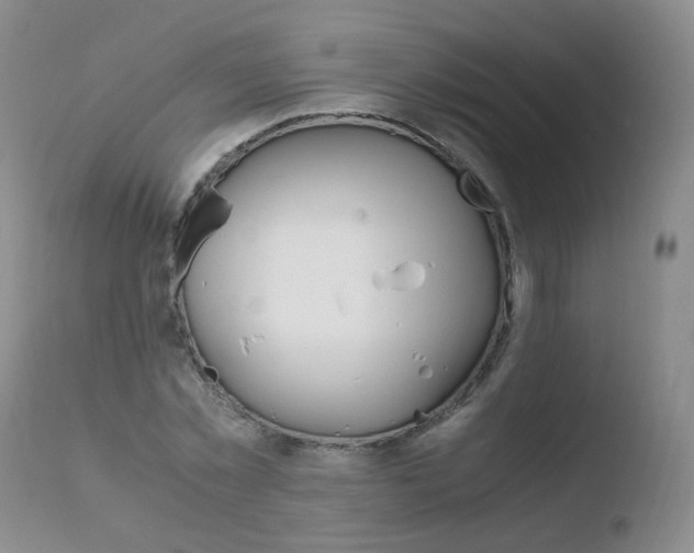 X0000110770781200906150952