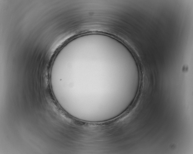 X0000110770782200906150952