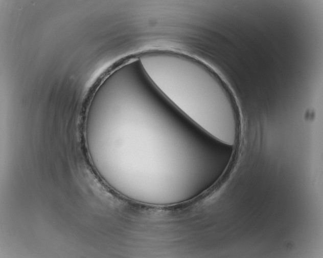 X0000110770783200906150952