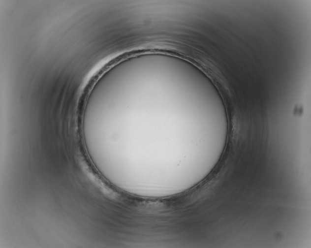 X0000110770784200906150952