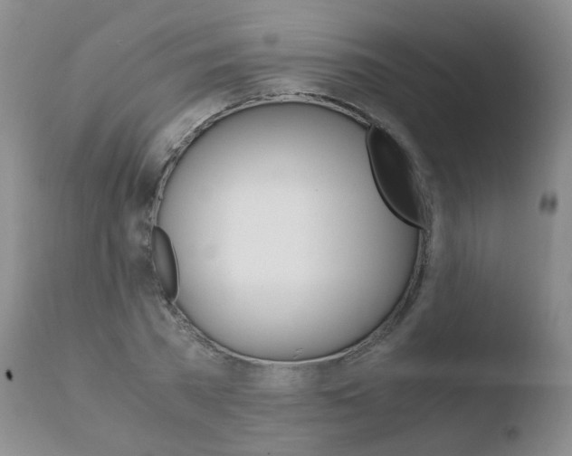 X0000110770785200906150952