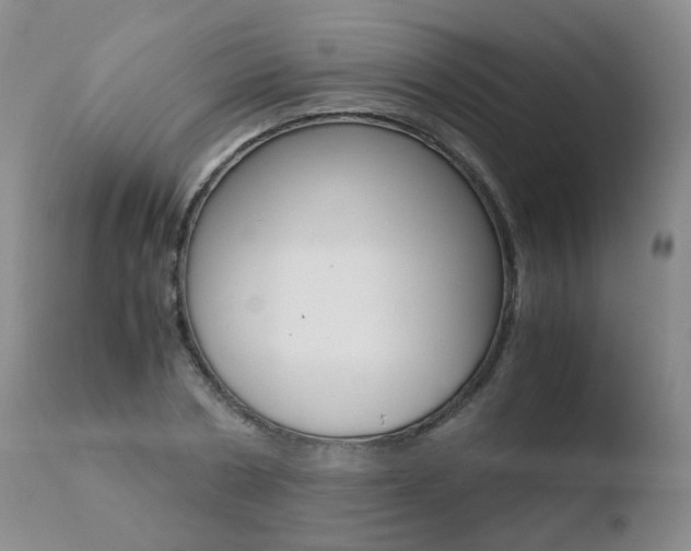 X0000110770786200906150952