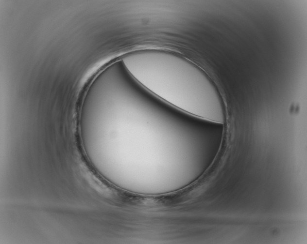 X0000110770787200906150952