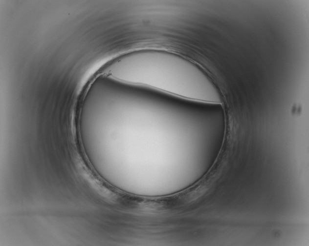 X0000110770788200906150952